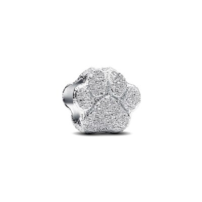 Mini charm Pandora Patte Texturé en argent